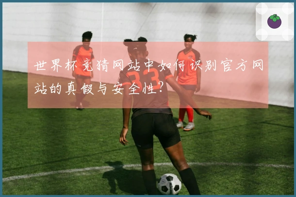 世界杯竞猜网站中如何识别官方网站的真假与安全性？