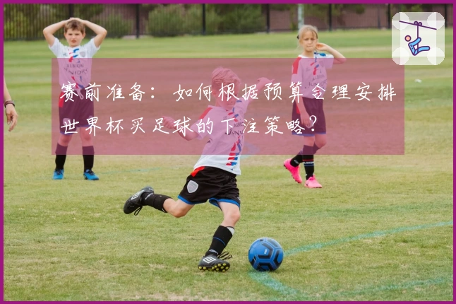 赛前准备：如何根据预算合理安排世界杯买足球的下注策略？