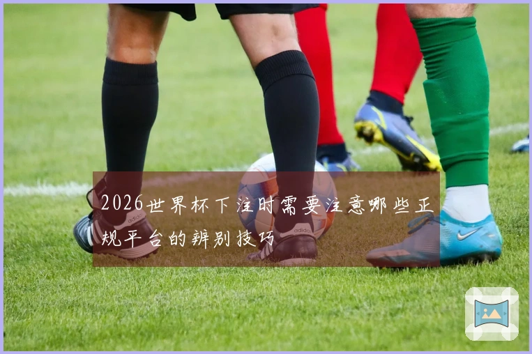 2026世界杯下注时需要注意哪些正规平台的辨别技巧