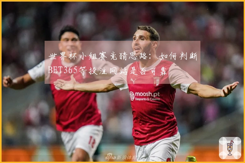 世界杯小组赛竞猜思路：如何判断BET365等投注网站是否可靠