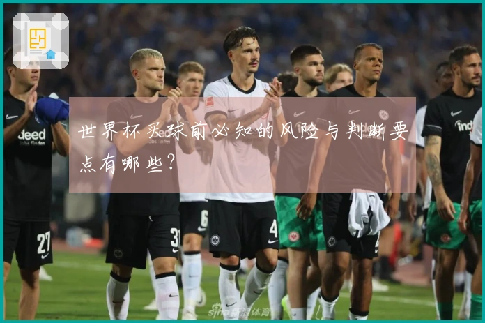 世界杯买球前必知的风险与判断要点有哪些？