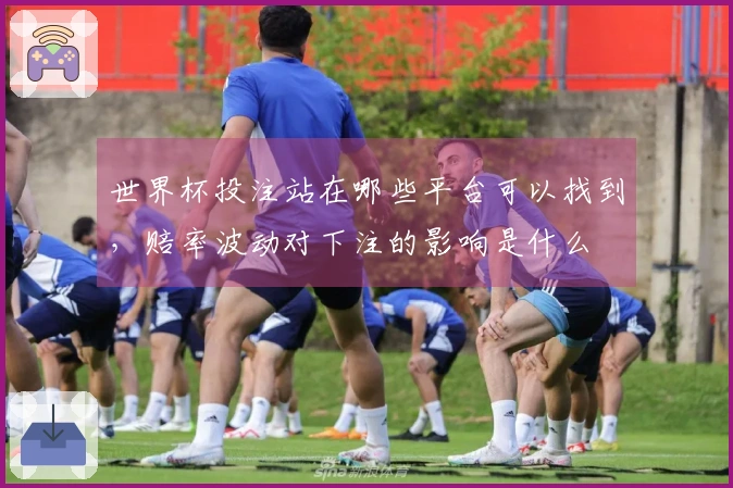 世界杯投注站在哪些平台可以找到，赔率波动对下注的影响是什么