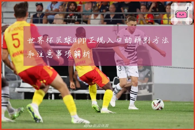 世界杯买球app正规入口的辨别方法和注意事项解析