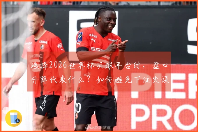 选择2026世界杯买球平台时，盘口升降代表什么？如何避免下注失误？