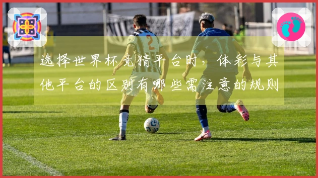 选择世界杯竞猜平台时，体彩与其他平台的区别有哪些需注意的规则？