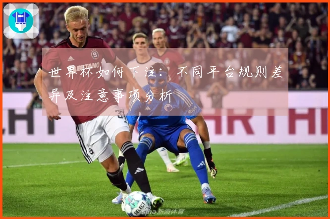 世界杯如何下注：不同平台规则差异及注意事项分析