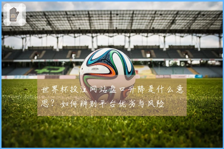 世界杯投注网站盘口升降是什么意思？如何辨别平台优劣与风险
