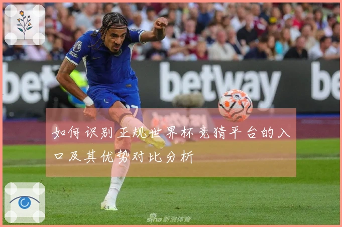 如何识别正规世界杯竞猜平台的入口及其优势对比分析