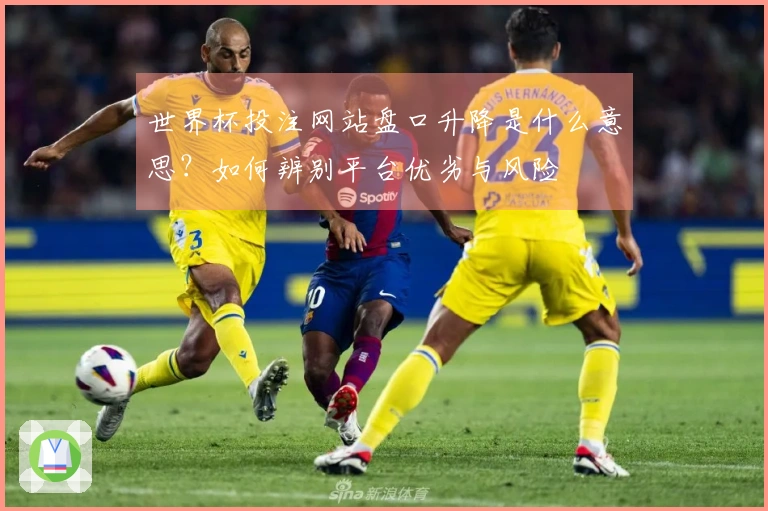 世界杯投注网站盘口升降是什么意思？如何辨别平台优劣与风险